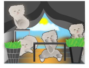 Design Illustration par jiezyl 2 pour ce projet | Design : #16735748