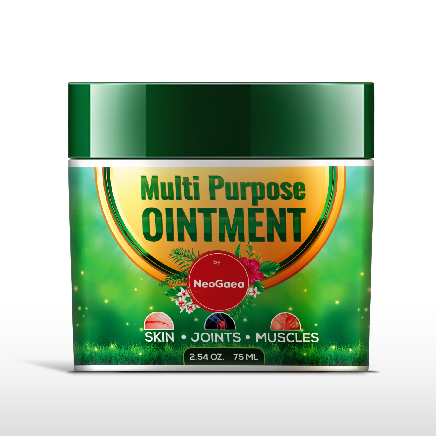 Packaging Design by SAI DESIGNS for this project | Design #16580815