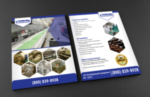 Flyer Design by Deziners Zone for this project | Design: #16562100