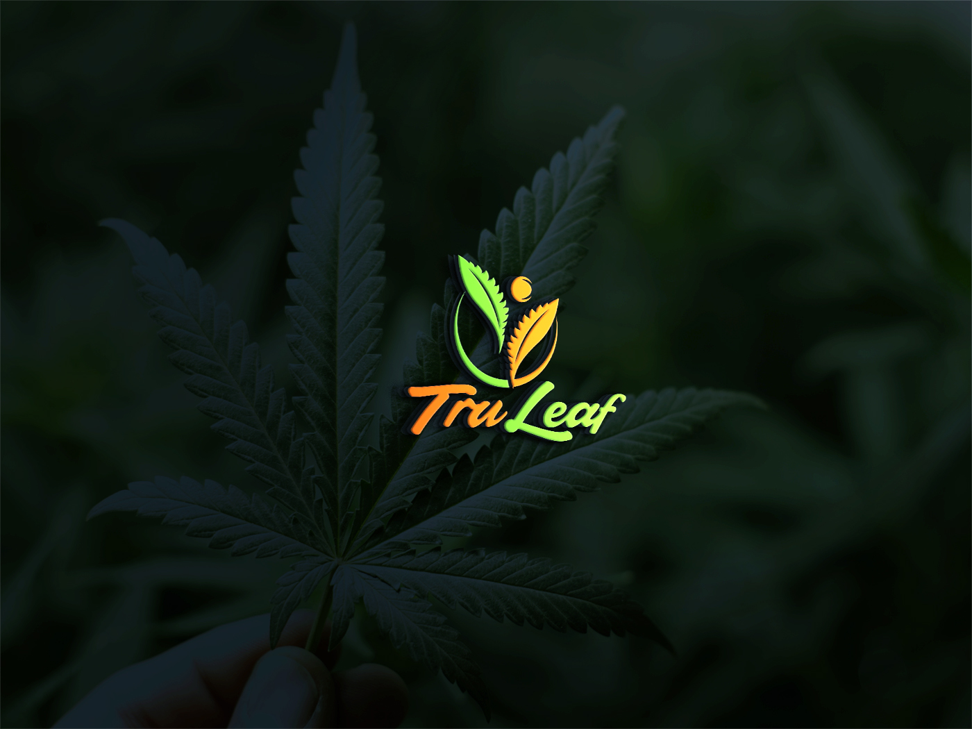 Diseño de Logo por Deziners Zone para este proyecto | Diseño #16627535