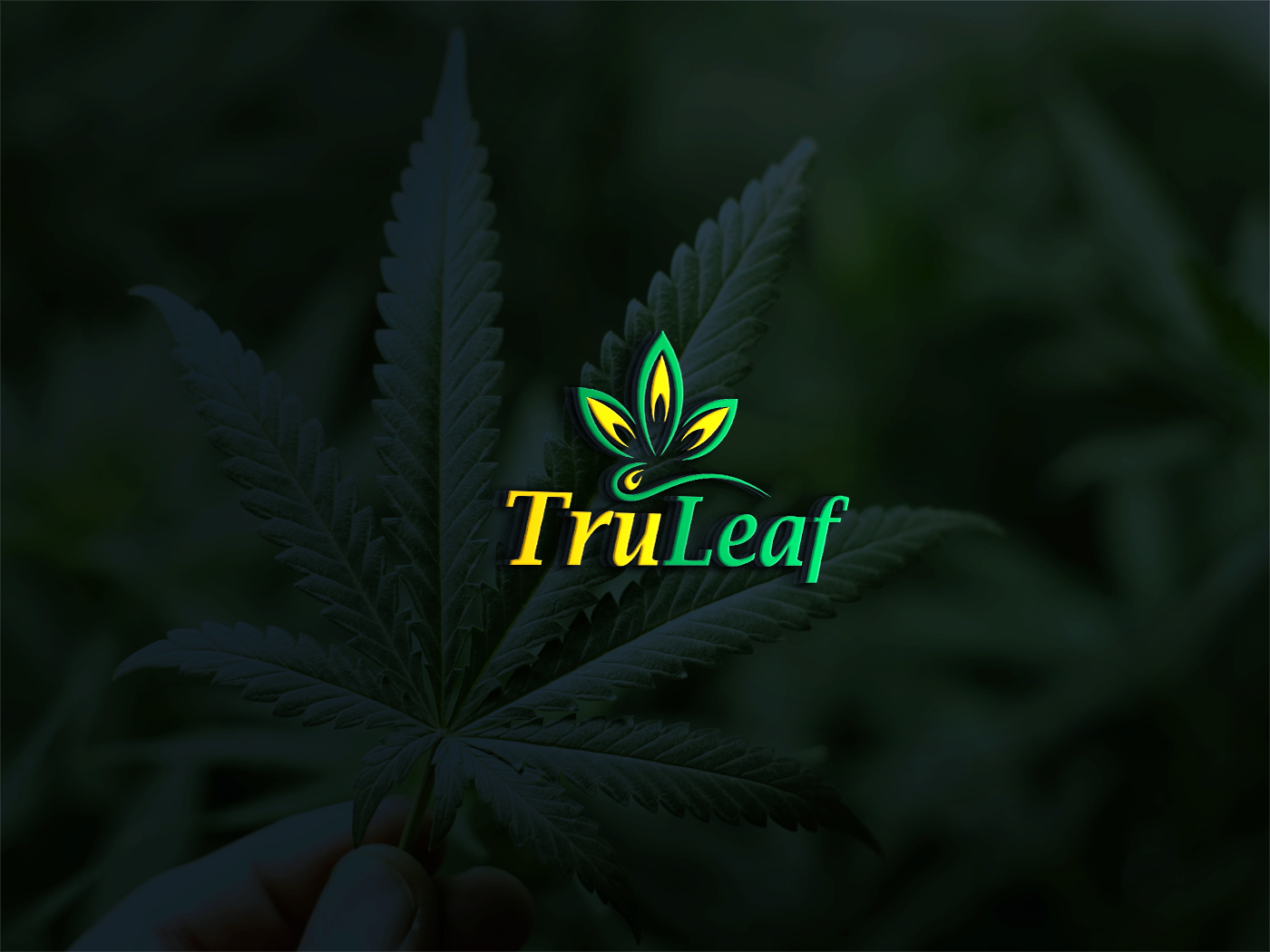 Logo Design by Deziners Zone for this project | Design #16627536