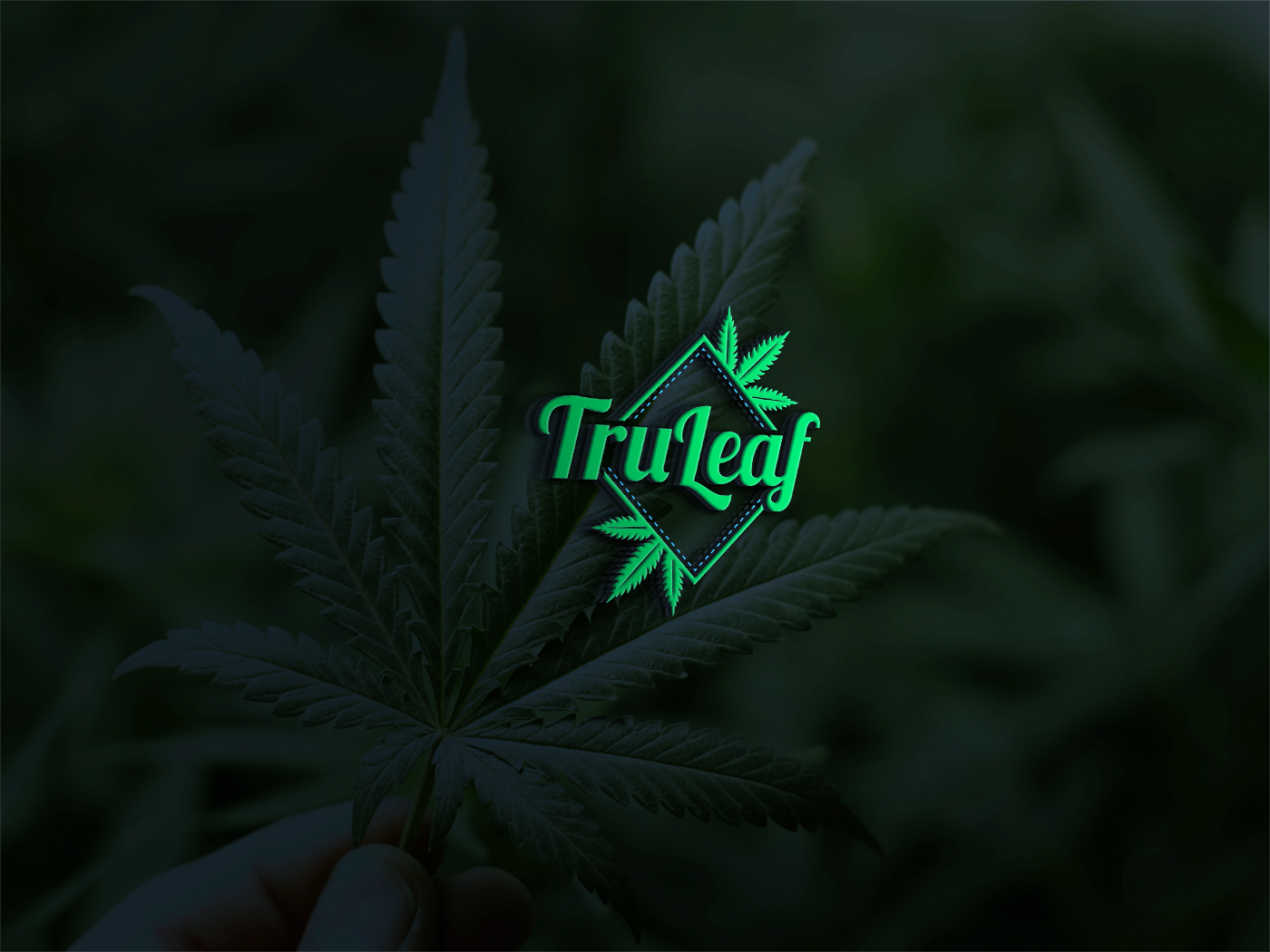 Logo Design by Deziners Zone for this project | Design #16627537