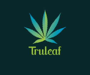 Logo Design by Creati Studio for this project | Design #16597108