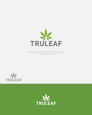 Logo Design by farahhusnain123