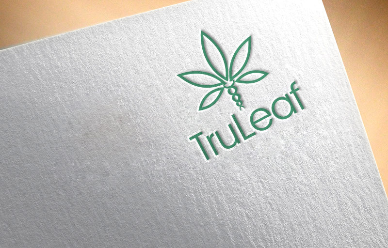 Diseño de Logo por zebronicgraphic para este proyecto | Diseño #16573357