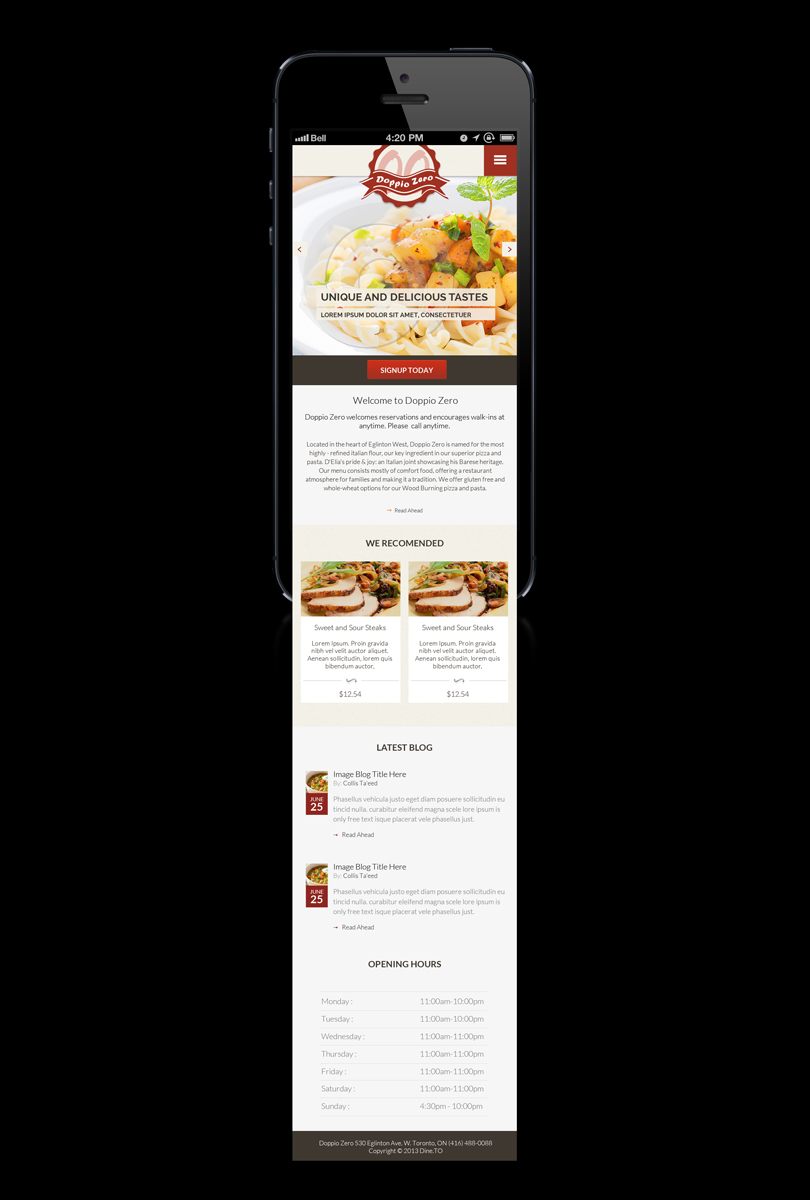 Wordpress Design by Violeta Pironkova for NuOrder Solutions Inc. | Design #2738996