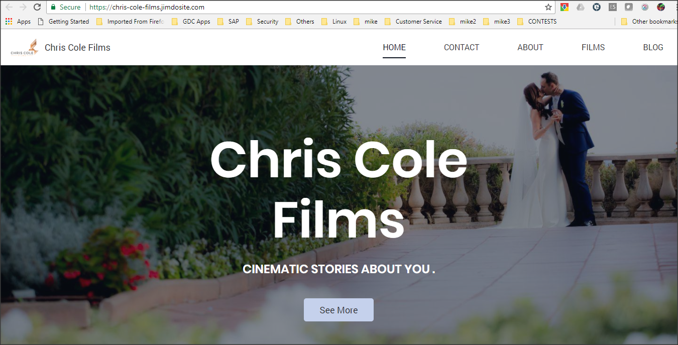 Web Design by Mike Rosales (@mrdzyn) for christopher cole films | Design #16749971