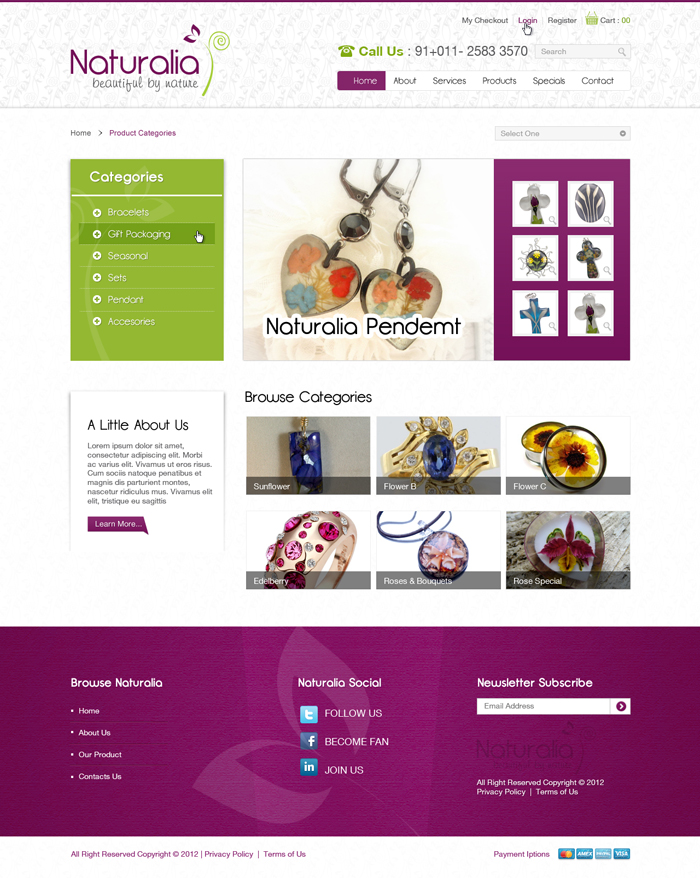 Web Design by the-lion-king for this project | Design #632317