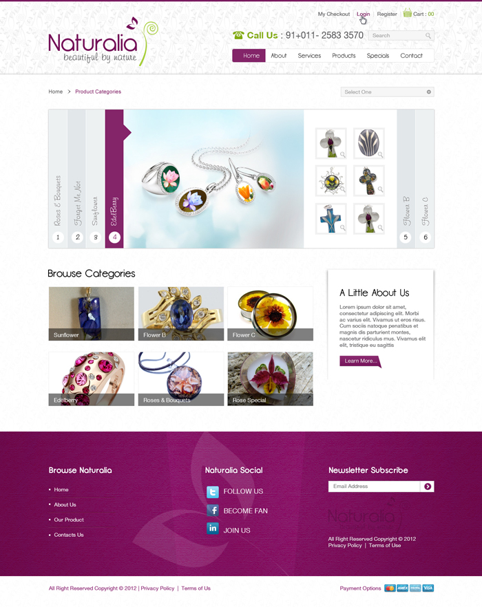 Web Design by the-lion-king for this project | Design #635535