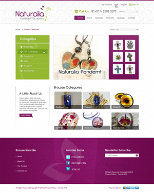Web Design by the-lion-king for this project | Design: #635565