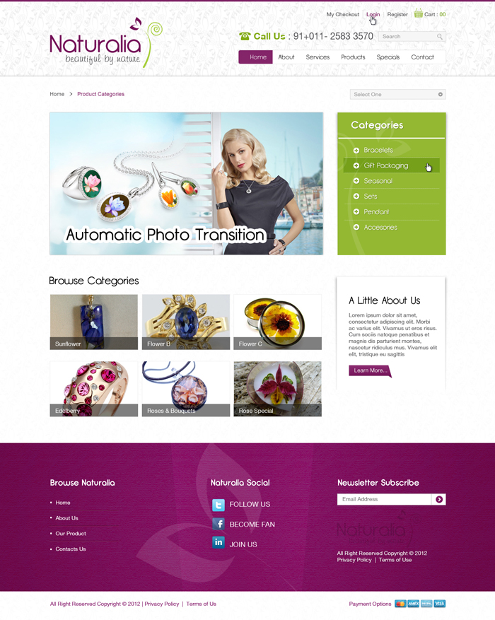 Web Design by the-lion-king for this project | Design #635568