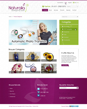 Web Design by the-lion-king for this project | Design: #635568