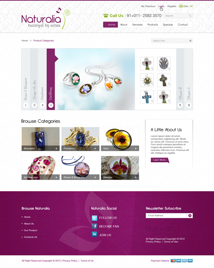 Web Design by the-lion-king for this project | Design #637037