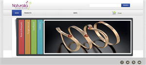 Diseño Web por GK para este proyecto | Diseño #609871