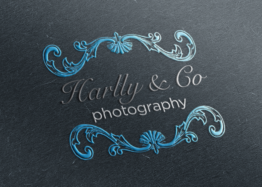 Logo Design by brojas718 for Reflections by Sarah Pty Ltd | Design #16741449