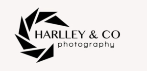 Logo Design by Stewart Wells