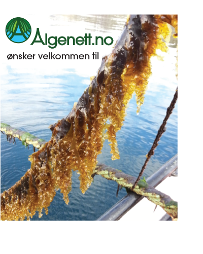 Logo Design by hansi for Algenettverk Nord as | Design #16674018