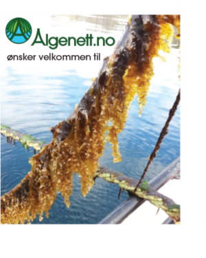 Logo Design by hansi for Algenettverk Nord as | Design: #16674018