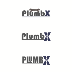 Logo Design by Akber A. Pirani