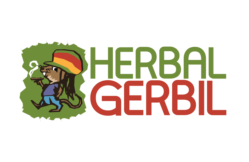 Logo Design by Emanuele Pepi for Sure Win Solutions | Design: #624594