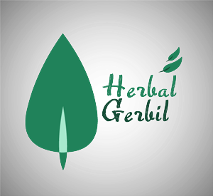 Logo Design by Michael Davies for Sure Win Solutions | Design #623529