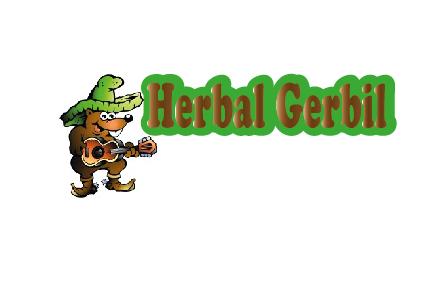 Logo Design by Nidhi for Sure Win Solutions | Design #617038