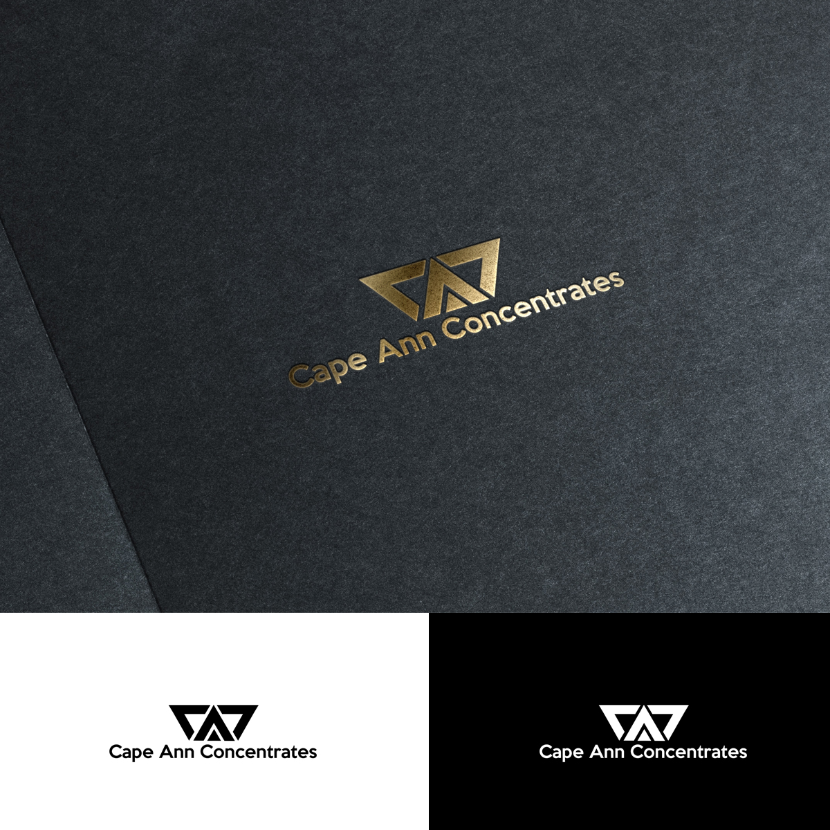 Logo-Design von graphicancers für dieses Projekt | Design: #16581046
