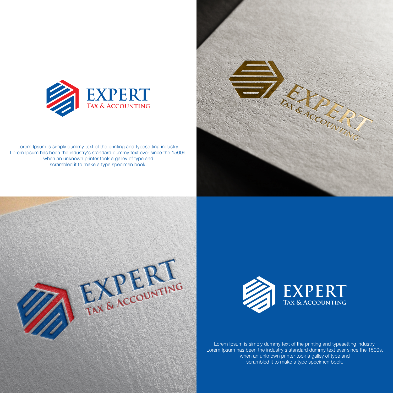 Logo Design by Optimistic_Studio for Expert Tax & Accounting | Design #16685064