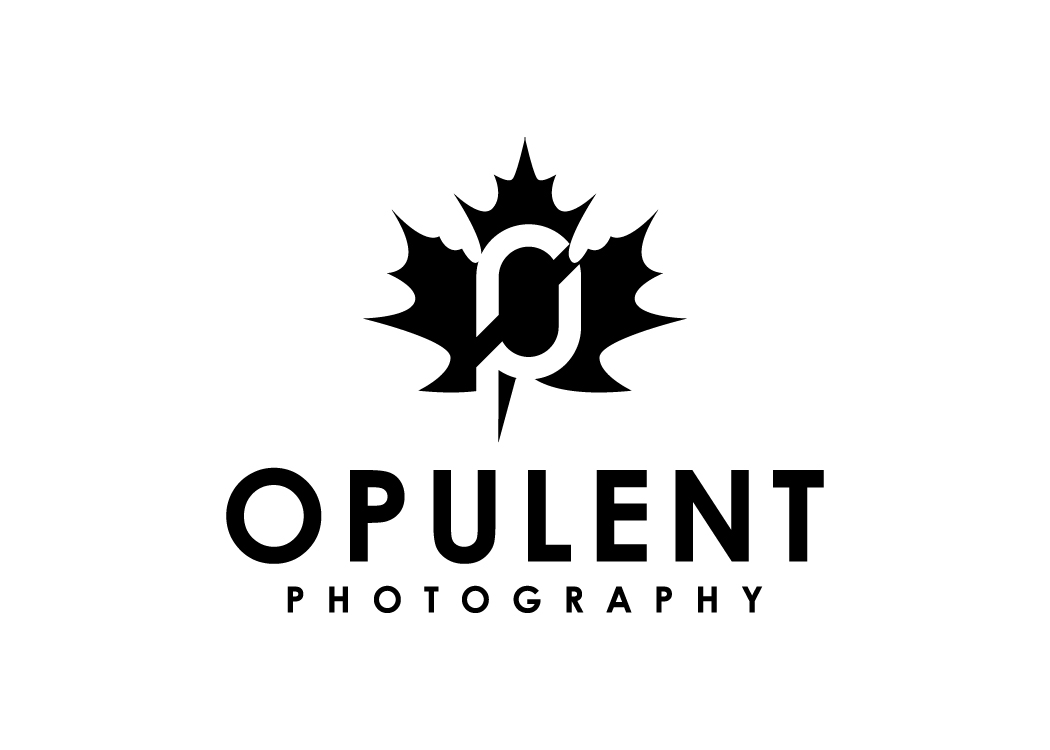 Logo Design by creative.bugs for this project | Design #16582307