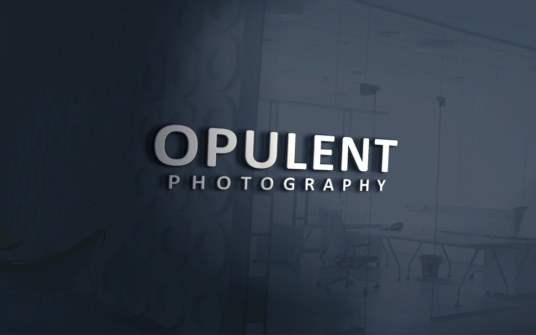 Logo Design by LunaCreative for this project | Design #16580479