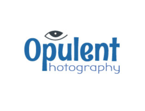 Logo Design by bkdass123 for this project | Design #16688364