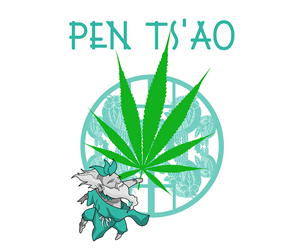 Logo Design by Juntacu