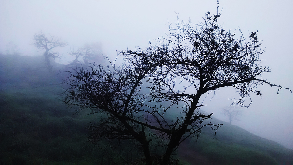 Fotografía por ARTBOOL para DesignCrowd (Community Contests) | Diseño #16614431