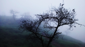 Photography by ARTBOOL