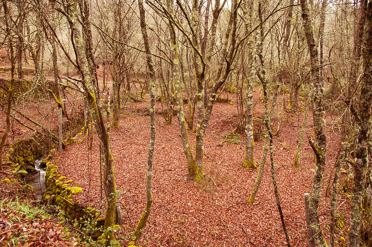 Photography by alicina for DesignCrowd (Community Contests) | Design #16703052