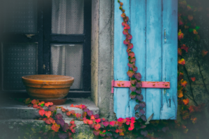 Photography by jeff Browne
