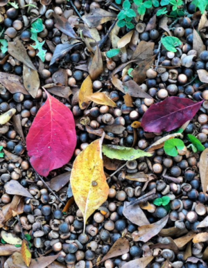Photography by Anna R Smith
