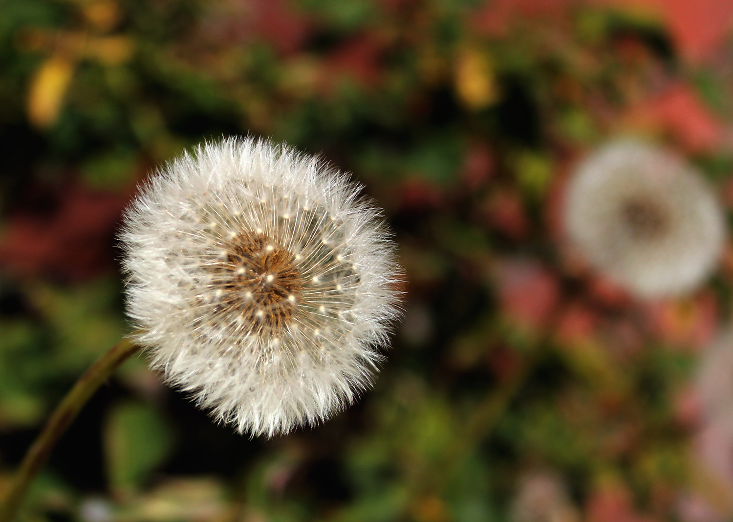 Fotografía por Tony Thai para DesignCrowd (Community Contests) | Diseño #16688323