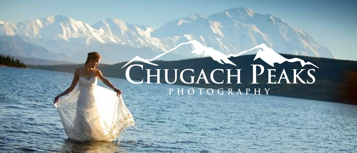 Logo Design by Creative1one for this project | Design #16869593