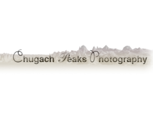 Logo Design by TS computer graphic