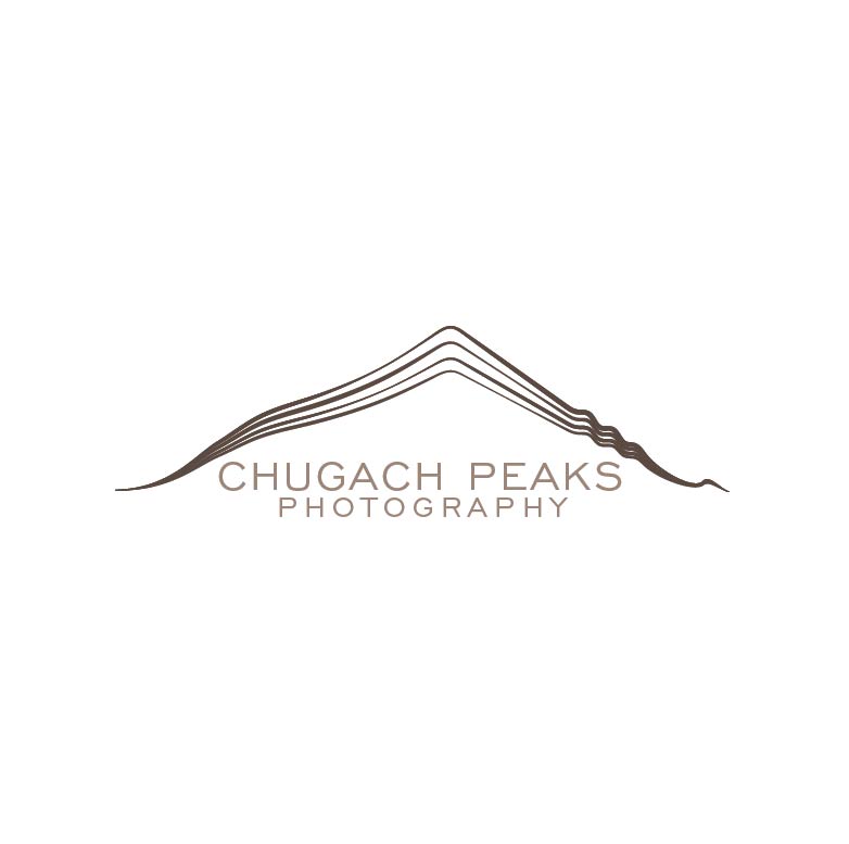 Logo Design by Design Possibilities for this project | Design #16812919