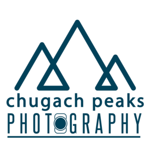 Logo Design by Inkblot_NZ