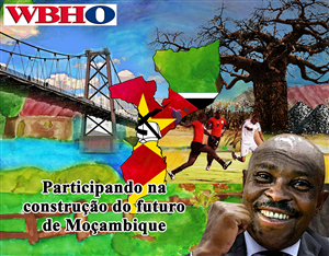 Diseño Publicitario por VEGA-Designs