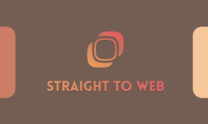 Business Card Design by Blazs91 for Straight To Web LLC | Design: #16709663