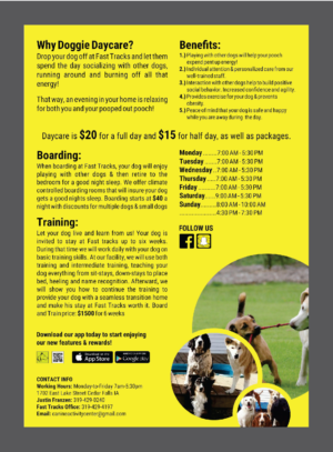 Flyer Design by Deziners Zone for this project | Design: #16624725