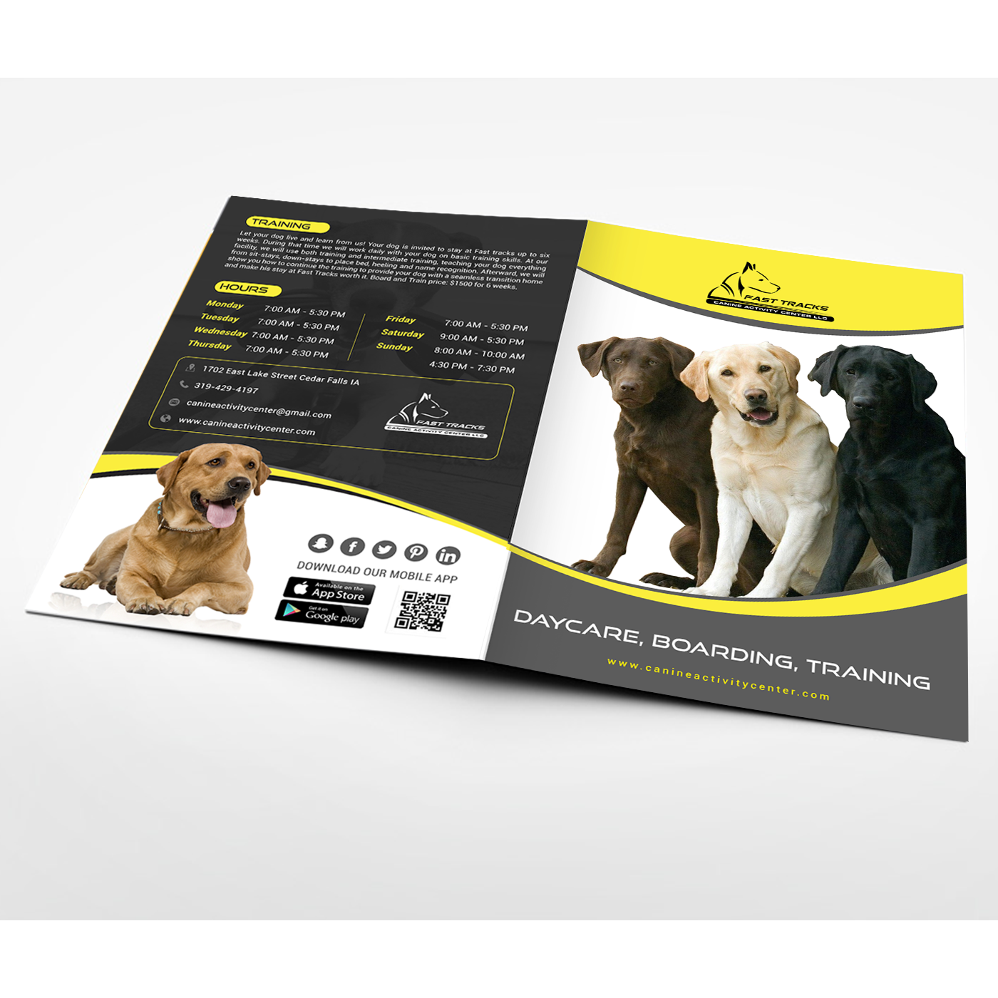 Flyer Design by creative.bugs for this project | Design #16623756