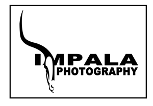 Logo Design by toyroom for this project | Design: #2741997