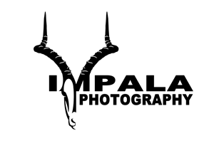 Logo Design by toyroom