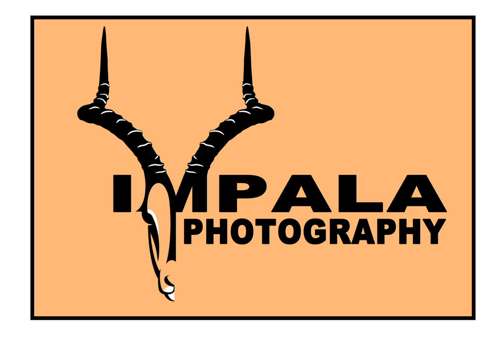 Logo Design by toyroom for this project | Design #2742810