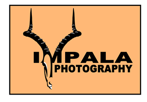 Logo Design by toyroom for this project | Design: #2742810